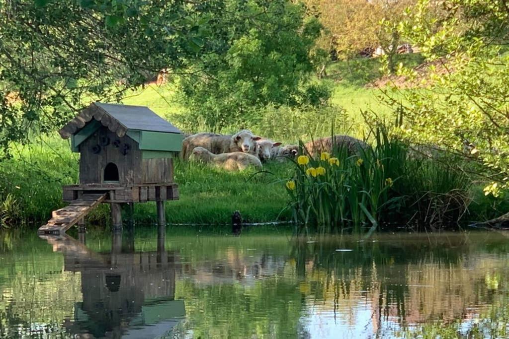 Gite Moulin de Lausseignan Barbaste Exterior foto